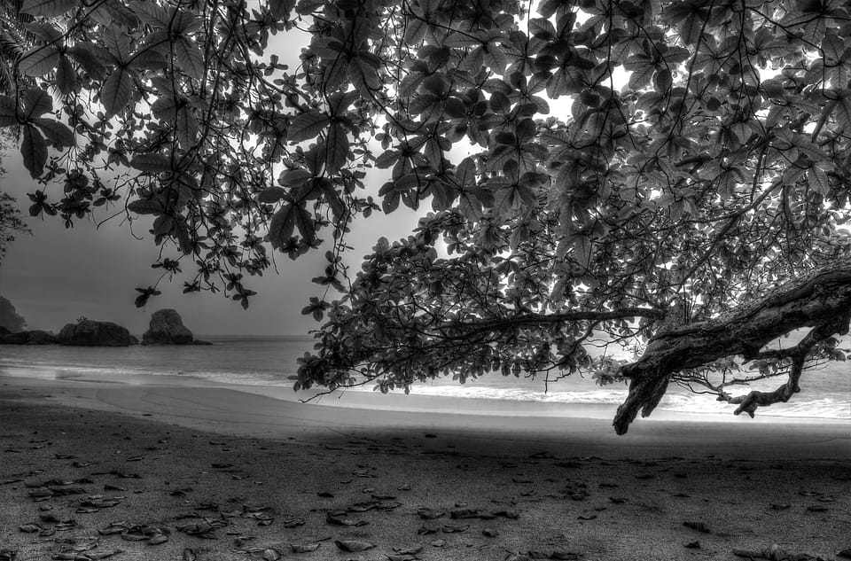 Fotografia, São Tomé e Príncipe, fotograma 2754, fusão de cinco exposições